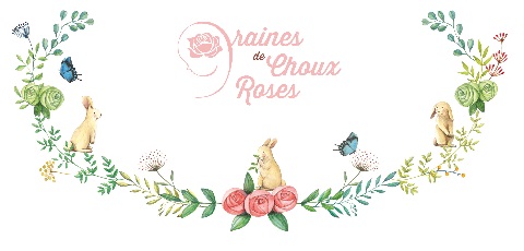 logo-grainesdechouxroses